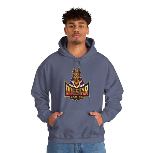 DogStar Gaming Brown Anubis Unisex Heavy Blend™ Hooded Sweatshirt