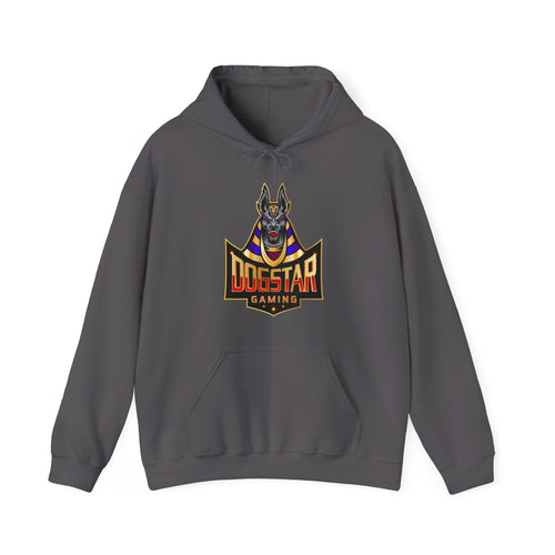 DogStar Gaming Grey Anubis Unisex Heavy Blend™ Hooded Sweatshirt