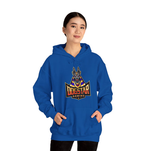 DogStar Gaming Grey Anubis Unisex Heavy Blend™ Hooded Sweatshirt