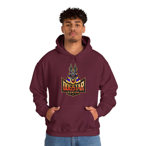 DogStar Gaming Grey Anubis Unisex Heavy Blend™ Hooded Sweatshirt