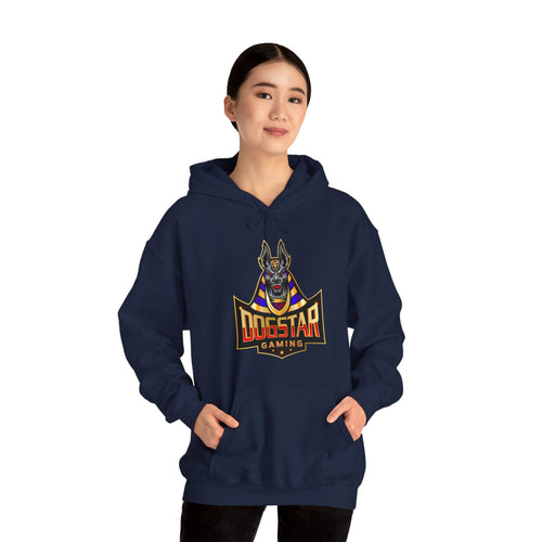 DogStar Gaming Grey Anubis Unisex Heavy Blend™ Hooded Sweatshirt