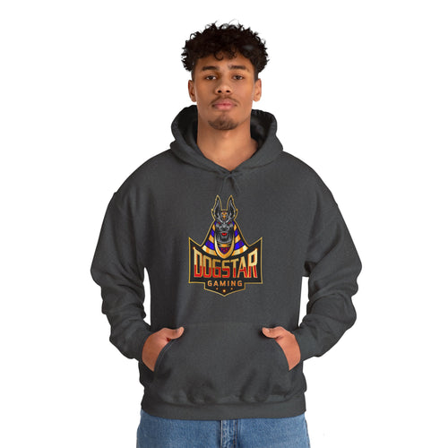 DogStar Gaming Grey Anubis Unisex Heavy Blend™ Hooded Sweatshirt