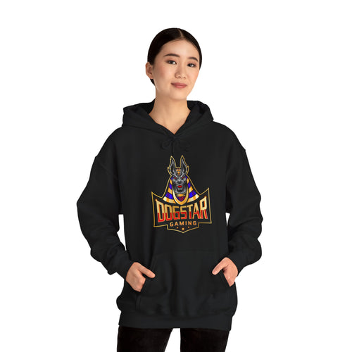 DogStar Gaming Grey Anubis Unisex Heavy Blend™ Hooded Sweatshirt