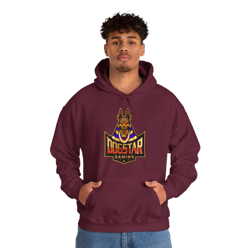 DogStar Gaming Brown Anubis Unisex Heavy Blend™ Hooded Sweatshirt
