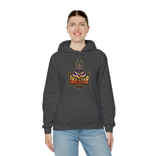DogStar Gaming Grey Anubis Unisex Heavy Blend™ Hooded Sweatshirt