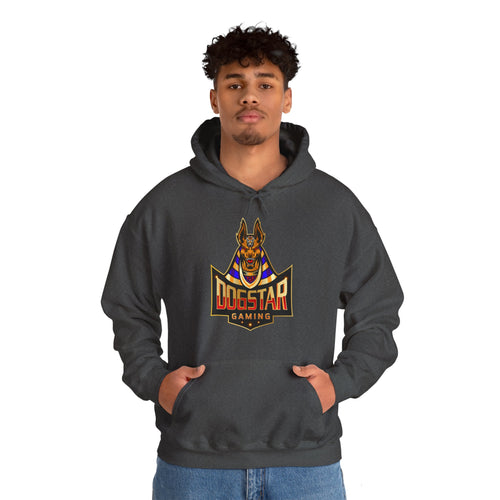 DogStar Gaming Brown Anubis Unisex Heavy Blend™ Hooded Sweatshirt